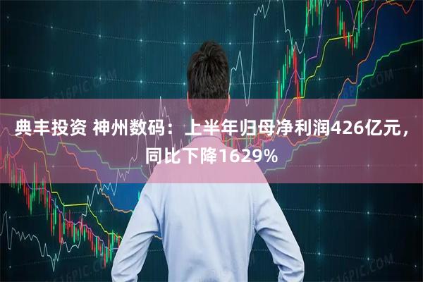 典丰投资 神州数码：上半年归母净利润426亿元，同比下降1629%