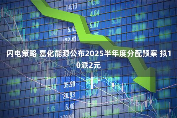 闪电策略 嘉化能源公布2025半年度分配预案 拟10派2元