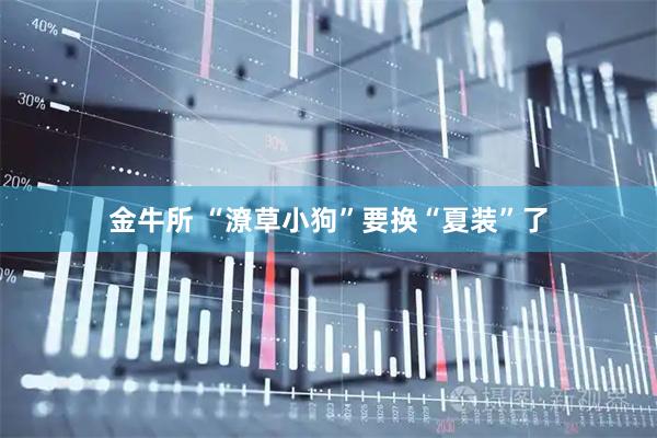 金牛所 “潦草小狗”要换“夏装”了