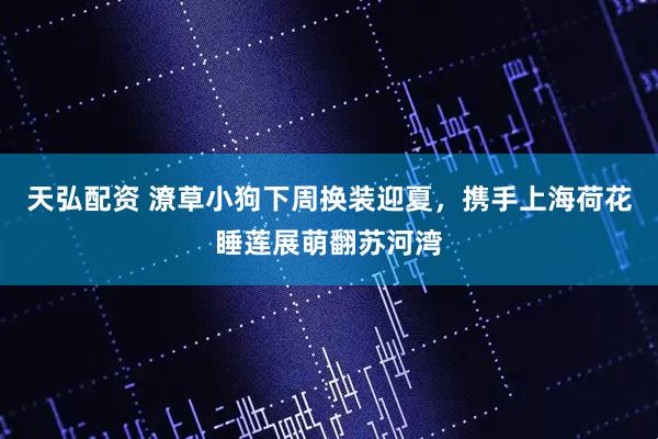 天弘配资 潦草小狗下周换装迎夏,携手上海荷花睡莲展萌翻苏河湾