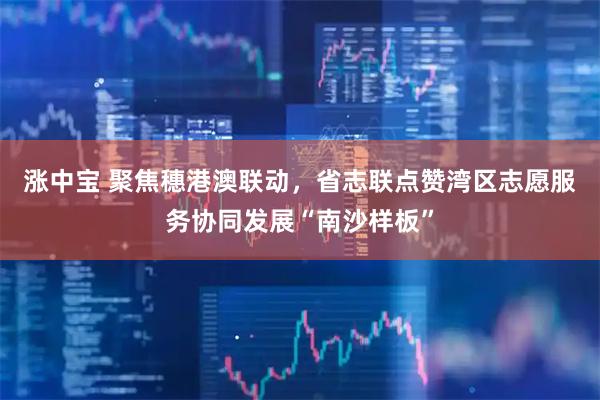 涨中宝 聚焦穗港澳联动，省志联点赞湾区志愿服务协同发展“南沙样板”